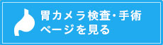 胃カメラ検査・手術ページを見る