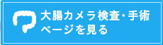 大腸カメラ検査・手術ページを見る